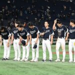 韓国はなぜ野球が強いのか？【WBC 2023】韓国の成績も振り返る