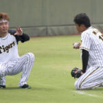 【阪神】西勇輝と西純矢の家系図は？親戚って本当？家族構成を紹介！