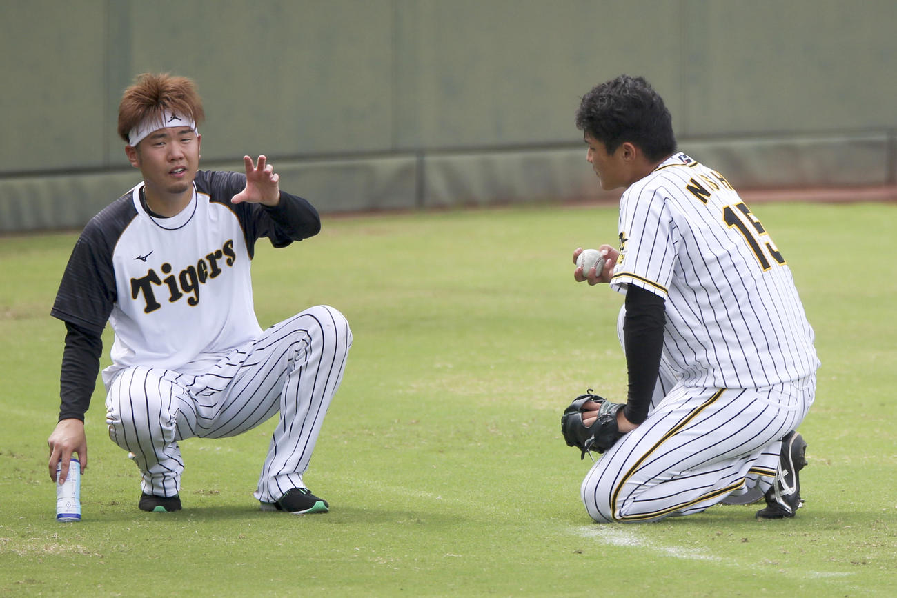 【阪神】西勇輝と西純矢の家系図は？親戚って本当？家族構成を紹介！