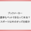 ブックメーカーは選挙もベットできるって本当？スポーツ以外のオッズを紹介