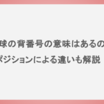 野球の背番号の意味はあるの？ポジションによる違いも解説！