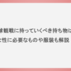 野球観戦に持っていくべき持ち物は？女性に必要なものや服装も解説！