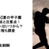 【2026】夏の甲子園の変更点と注意点！チケットはいつから？日程も調査 